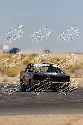 media/Oct-14-2023-Lucky Dog Racing (Sat) [[cef75db616]]/2nd Stint Turn 16/